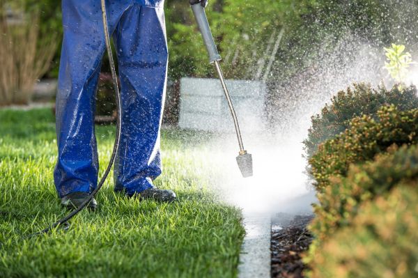 Cost of Curb Cleaning in Huntersville