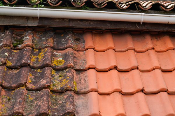 Industrial Roof Cleaning in Huntersville